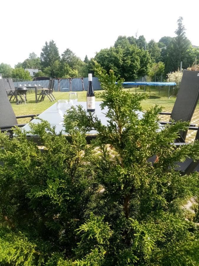Apartmany Kohoutek A Slepicka V Novohradskych Horach Nové Hrady Extérieur photo